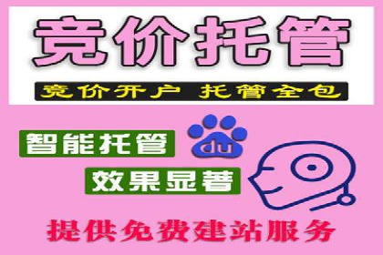 百度推广实战教程：多角度案例分析
